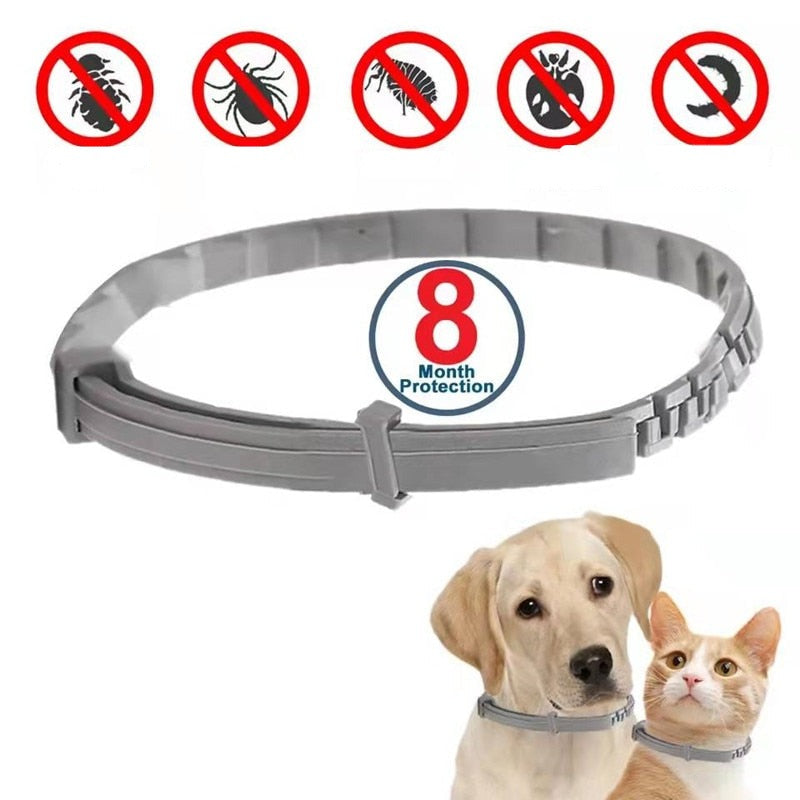 Colar Anti-Pulgas para Cachorro e Gato