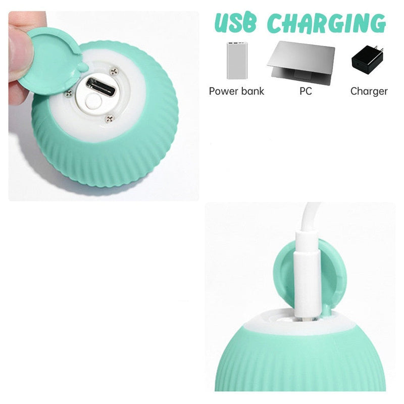 Brinquedo para Gatos Bola Interativa