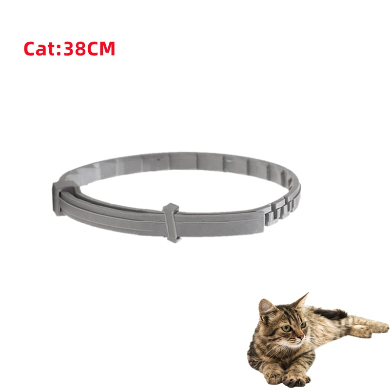 Colar Anti-Pulgas para Cachorro e Gato