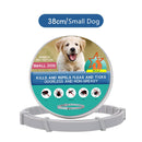 Colar Anti-Pulgas para Cachorro e Gato