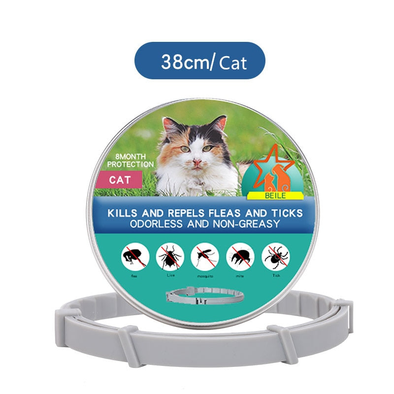 Colar Anti-Pulgas para Cachorro e Gato