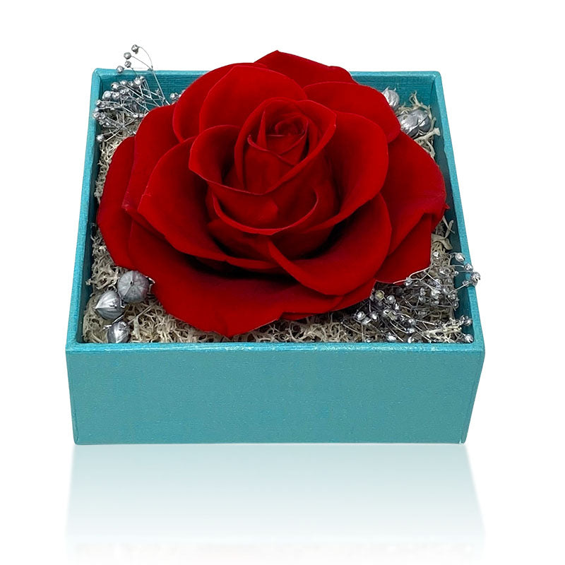 Colar I Love You em 100 idiomas com caixa de Rosa Real